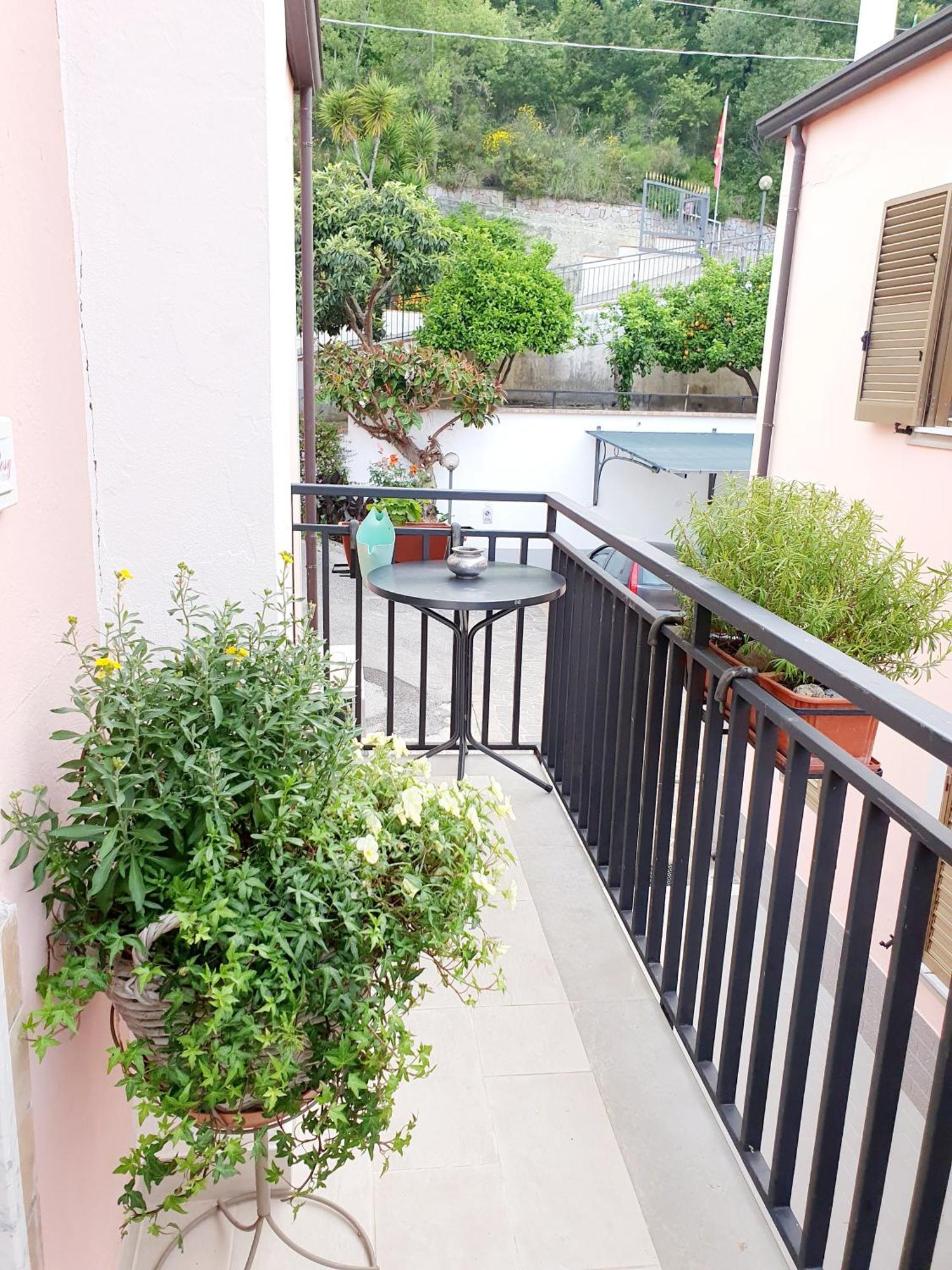 Casa Vacanze Rosy "Nel Verde" Palinuro Room photo