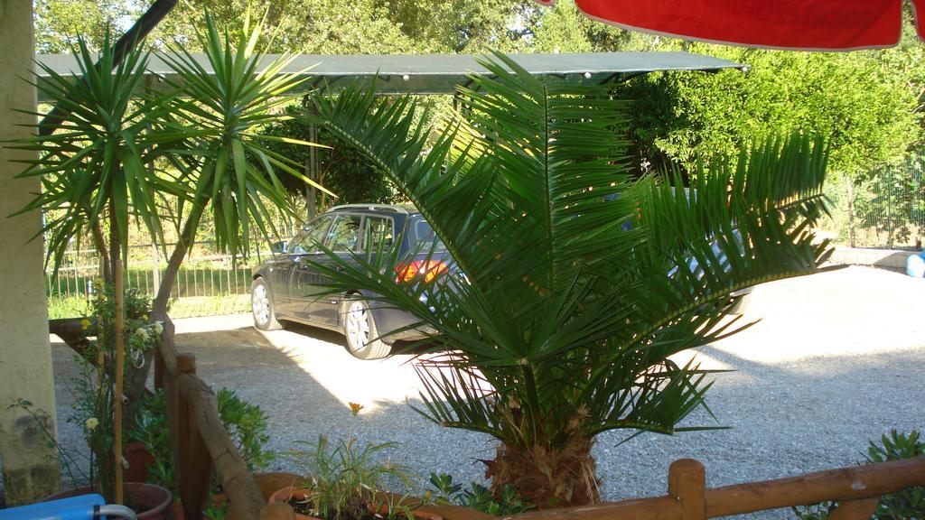 Casa Vacanze Rosy "Nel Verde" Palinuro Exterior photo